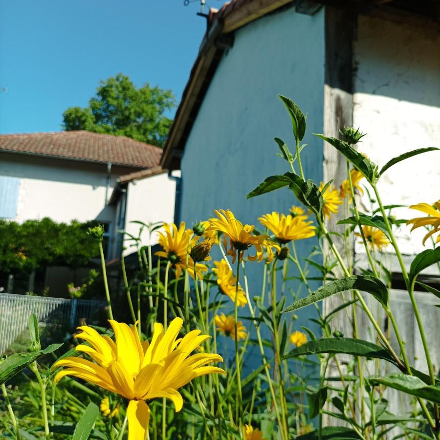 Chambres D'Hotes Villa Lortin Pouillon Exterior photo